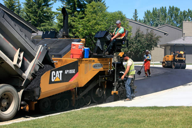 Best Local Driveway Pavers  in Joanna, SC